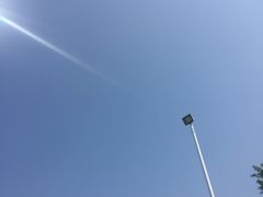 -飞来湖湿地公园