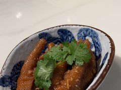 -点都德·毕德寮