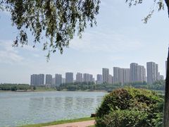 -丁香湖公园