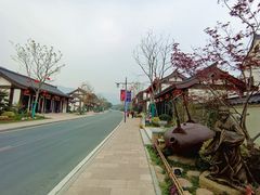 -长兴慧子土特产茶行