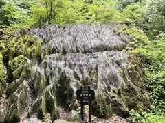 -梭布垭石林景区