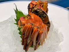 湖蟹-黄龙海鲜大排档(杭州总店)