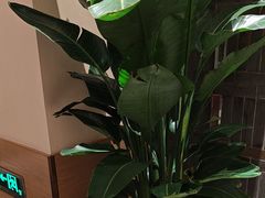 -泓历皇朝酒店(东亭店)