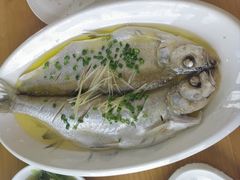 清蒸白鱼-品鲜村农家菜·阳澄湖大闸蟹(总店)