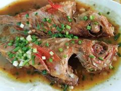 -大班家政月嫂育儿嫂(深圳NO.1店)