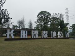 -长田漾湿地公园