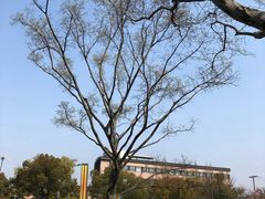 -麦当劳(东苑丽宝商业广场店)