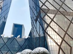 -中央广播电视总台(光华路办公区)