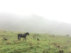 -石棉县孟获城