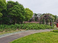 -尚贤河湿地