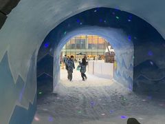 -世界之窗阿尔卑斯冰雪世界
