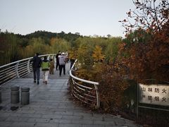 -南翠屏公园
