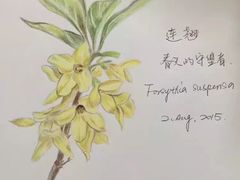 -鼎画艺术机构(贵都店)