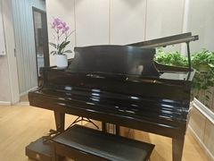-中音阶梯艺术教育(音乐学院校区)