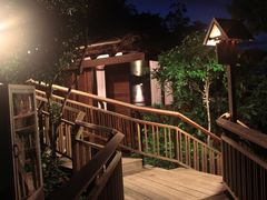 -三亚亚龙湾人间天堂鸟巢度假村
