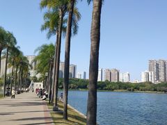 -南宁南湖公园