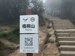 -梧桐山风景名胜区