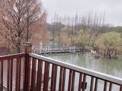 -梅林春晓花园餐厅