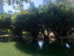 -香港皇家太平洋酒店