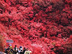 -木兰云雾山