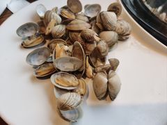 黄蚬子-海味当家·蒸锅海鲜(星海公园店)