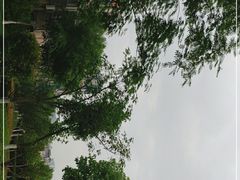 -江南茗茶城