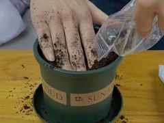 -新航道雅思托福·留学·考研培训(人民广场校区)