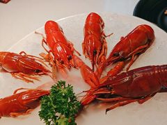 -红盔甲·小龙虾(天钥桥店)