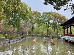 -南汇桃花村