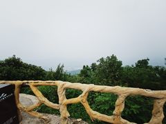 -北京西山国家森林公园