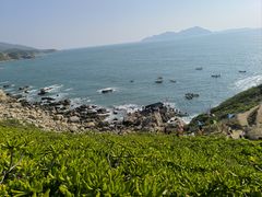 -西涌国际滨海旅游区