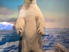 -陕西自然博物馆