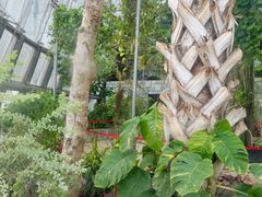 -北京植物园-展览温室