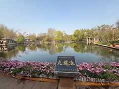 -翠湖公园