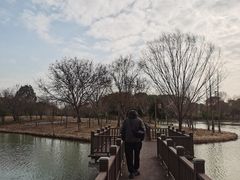 -梁鸿国家湿地公园