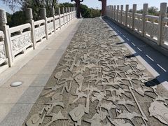 -东湖落雁景区