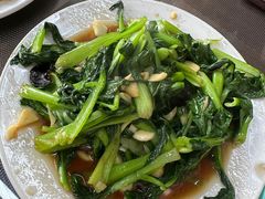 时令蔬菜-微山岛春天里酒家