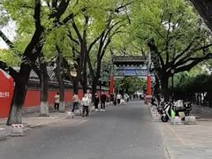 -北京国子监胡同