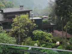 -青城山