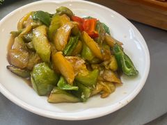 -篱笆院东北饺子王(四平店)