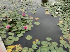 -白马涧龙池景区
