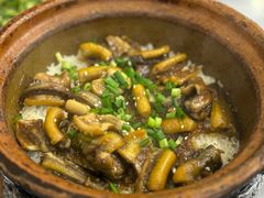 -红星光发煲仔饭(大石街店)