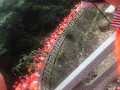 -将军关探险漂流