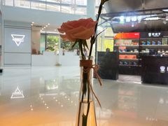 -轻蔬不用等·素食(江苏路店)