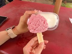 -普陀宗乘之庙(小布达拉宫)