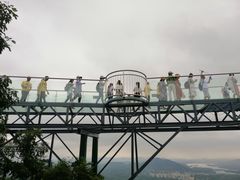 -呀诺达热带雨林