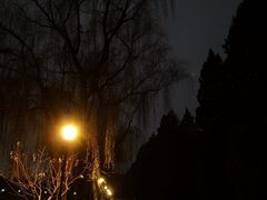 -东华门大街小区