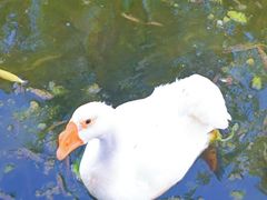 -太阳宫公园