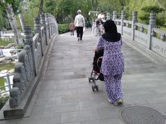 -莲湖公园