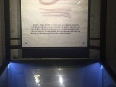 -贝壳梦幻世界